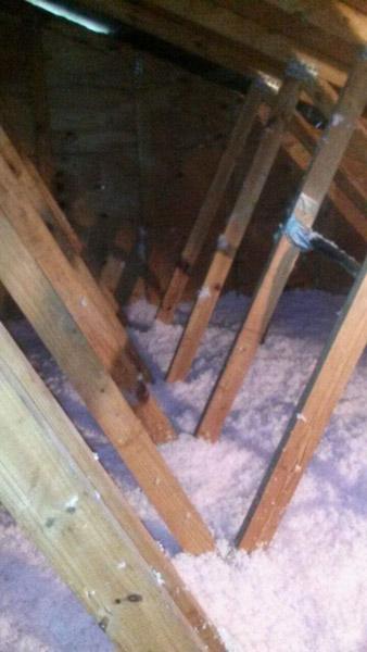 Attic Insulation 3 | American Insulation &Amp; Rodent Solutions Inc.
